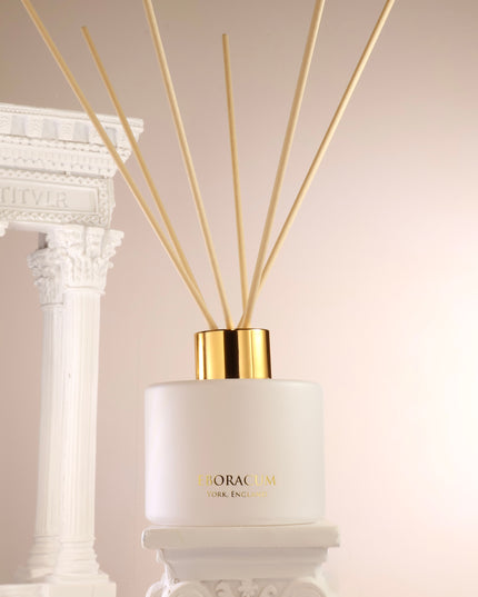 Reed Diffuser Sticks – Box of 10 (3mm x 240mm)