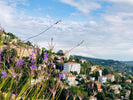 he soul of every Eboracum candle is born in Grasse, France.
