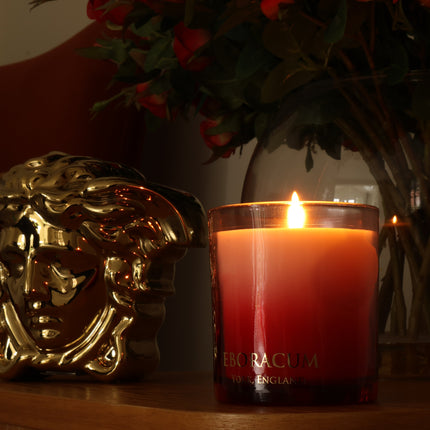 Collection image for: New Home & Housewarming Gifts