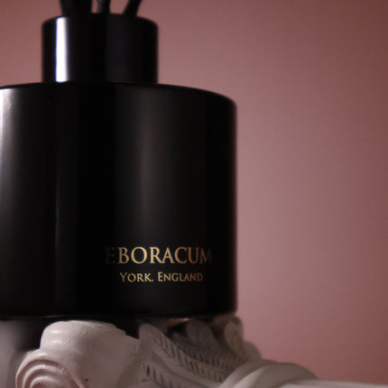 Black Pomegranate Diffuser 