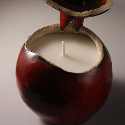 Eboracum Ceramic Pomegranate Candle