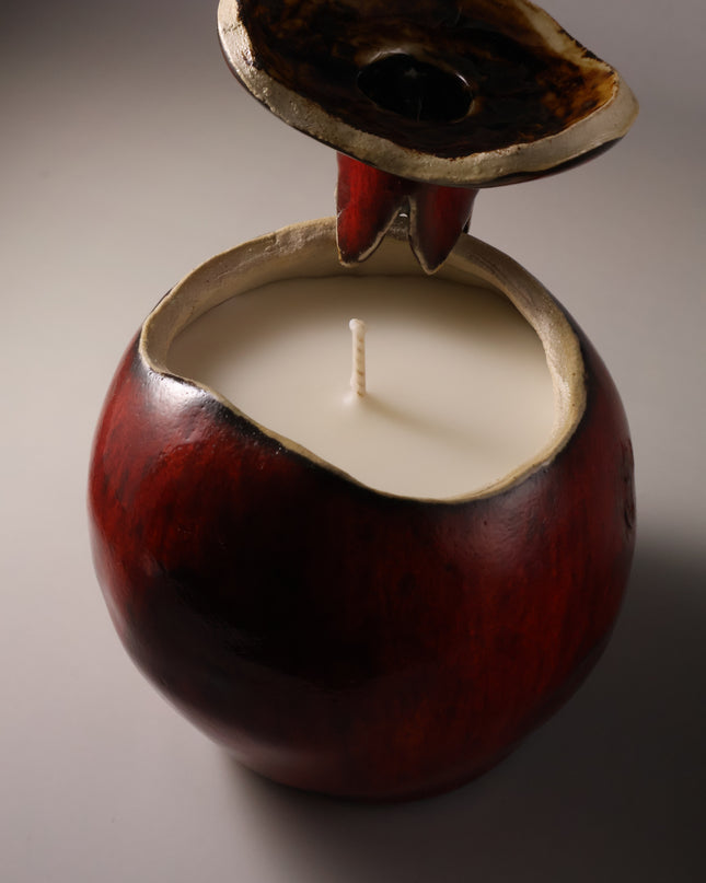 Eboracum Ceramic Pomegranate Candle