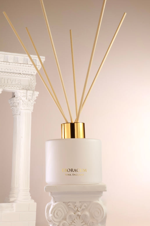 Reed Diffuser Sticks – Box of 10 (3mm x 240mm)