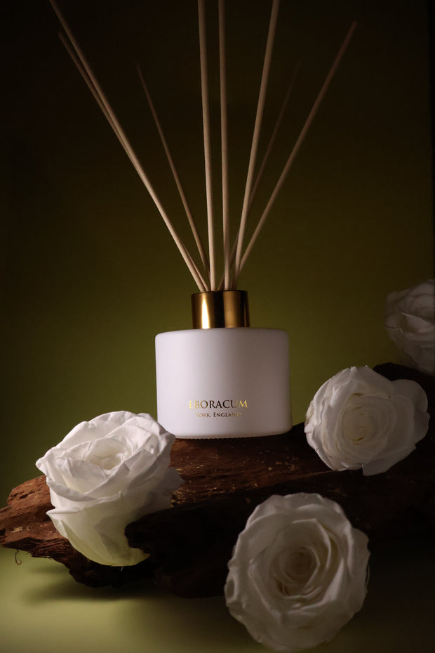 Rosa x alba Eboracum Diffuser
