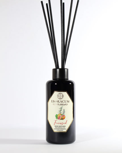 Eboracum Focused Reed Diffuser