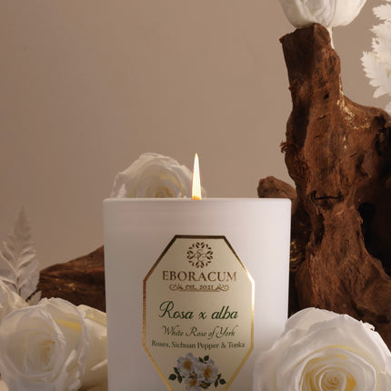 Rosa x alba White Rose Scented Candle