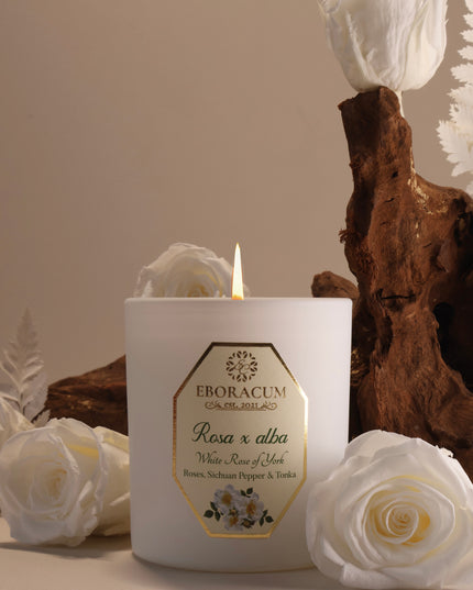 Rosa x alba White Rose Scented Candle