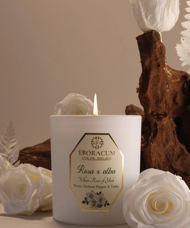 Rosa x Alba (Rose, Pepper and Tonka) White Rose of York