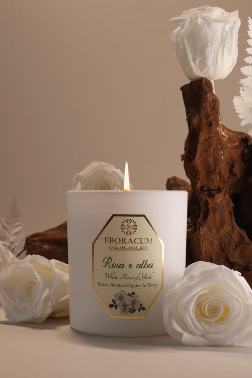 Rosa x alba White Rose Scented Candle