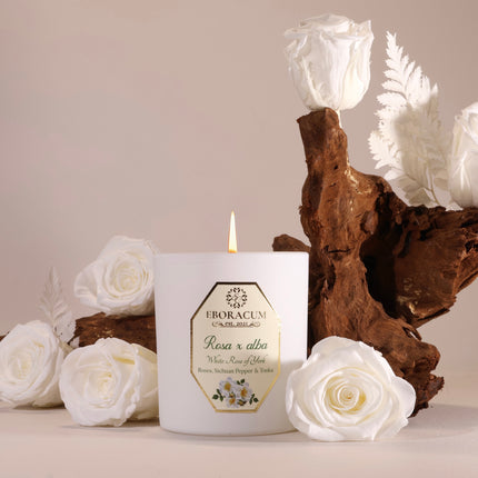Rosa x alba White Rose Scented Candle