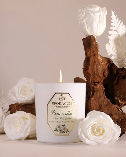 Rosa x alba White Rose Scented Candle