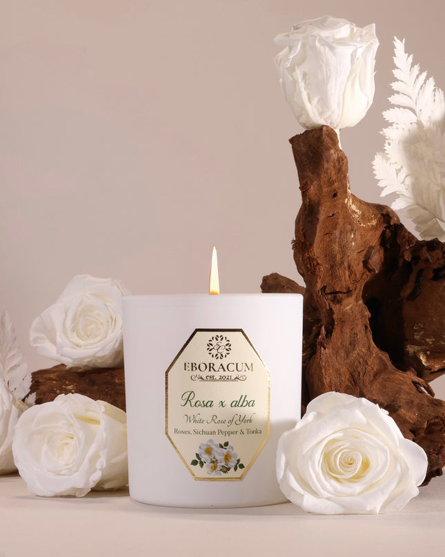 Rosa x Alba (Rose, Pepper and Tonka) White Rose of York