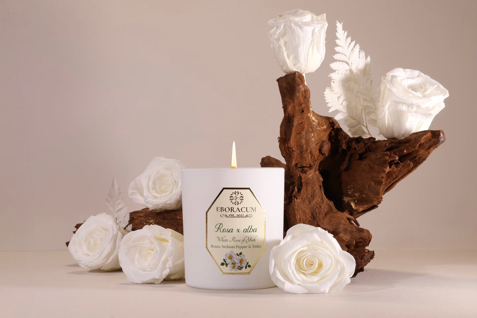 Rosa x alba White Rose Scented Candle