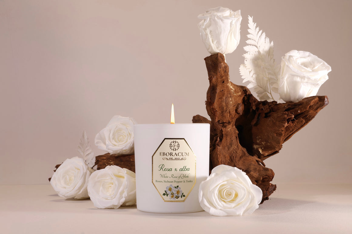 Rosa x alba White Rose Scented Candle