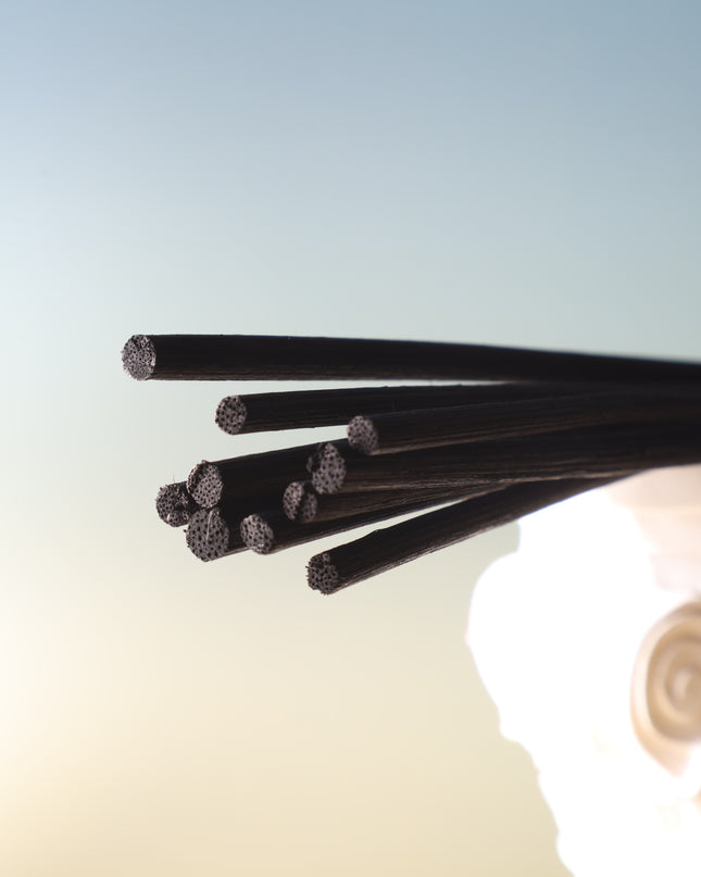 Diffuser Rattan Reed Sticks  Black (Pack of 10)