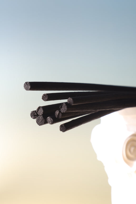 Diffuser Rattan Reed Sticks  Black (Pack of 10)