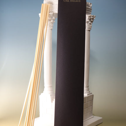 Eboracum fibre reed sticks natural finish