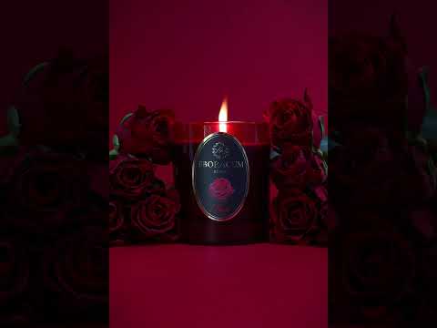 Eboracum Rose Candle